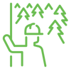 Tree Assessment