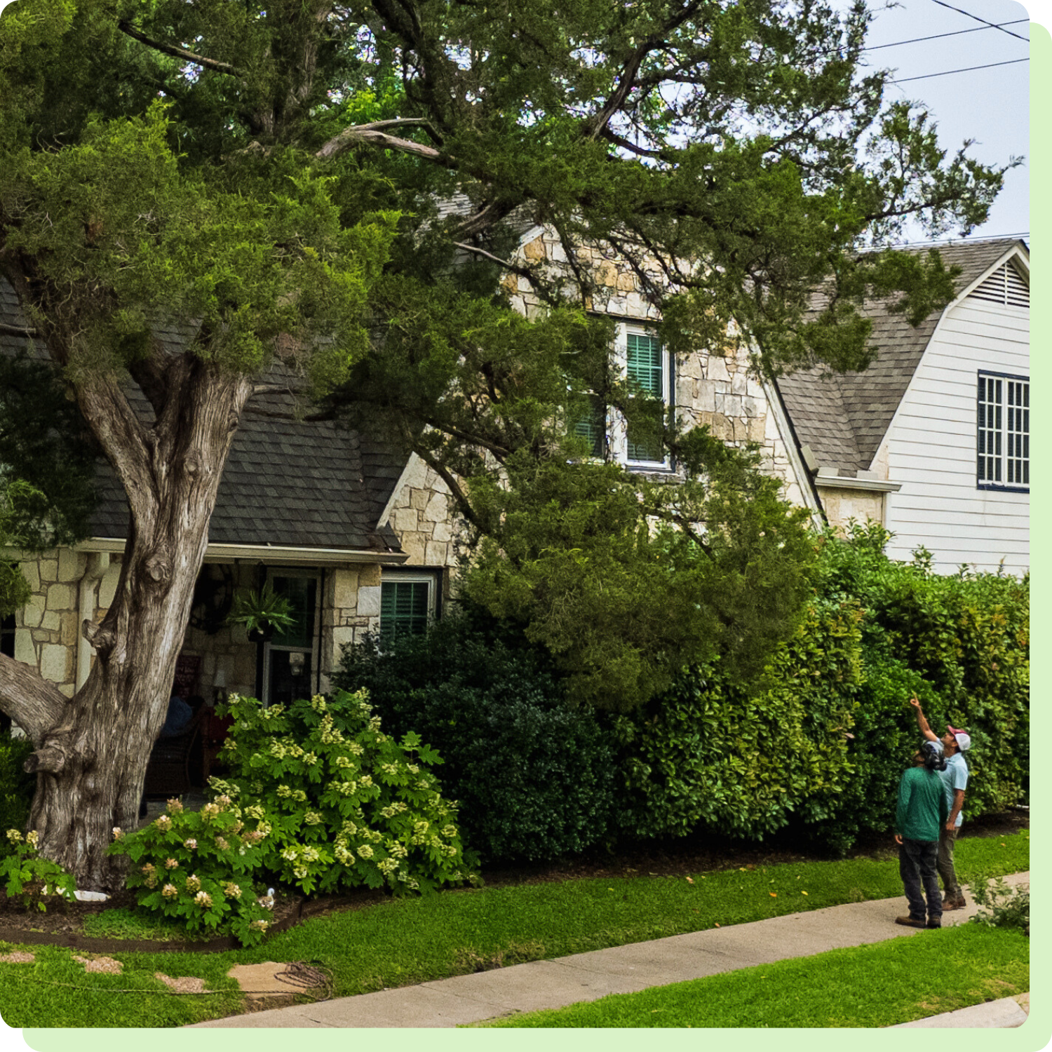 Book Your Free Tree Service Estimate
