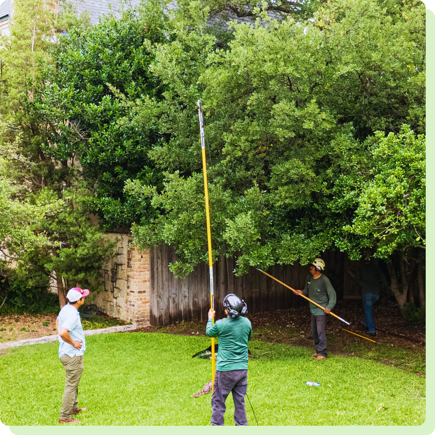 Book Your Free Tree Trimming Estimate Today