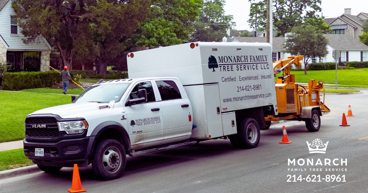 MONARCH FAMILY TREE SERVICE LLC logo
