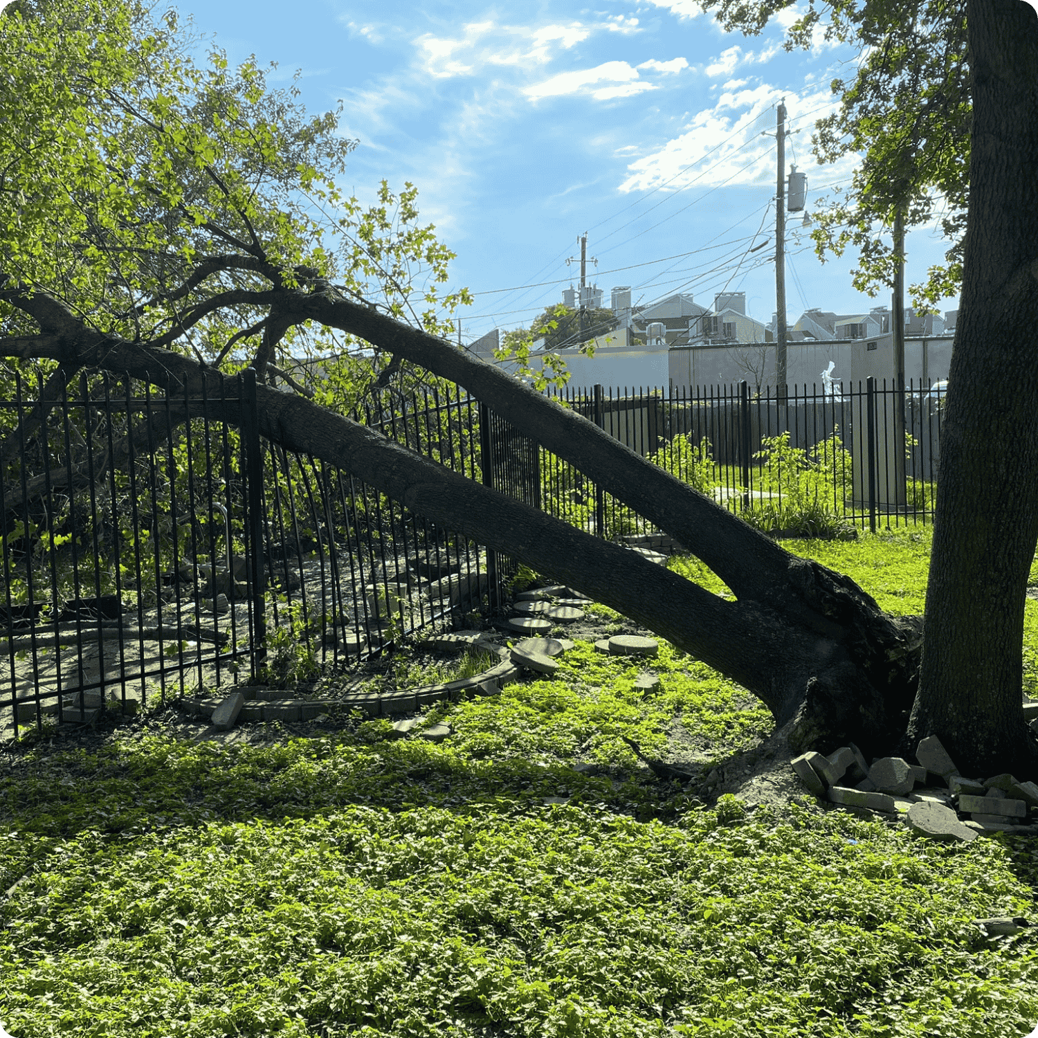 Tree Splitting