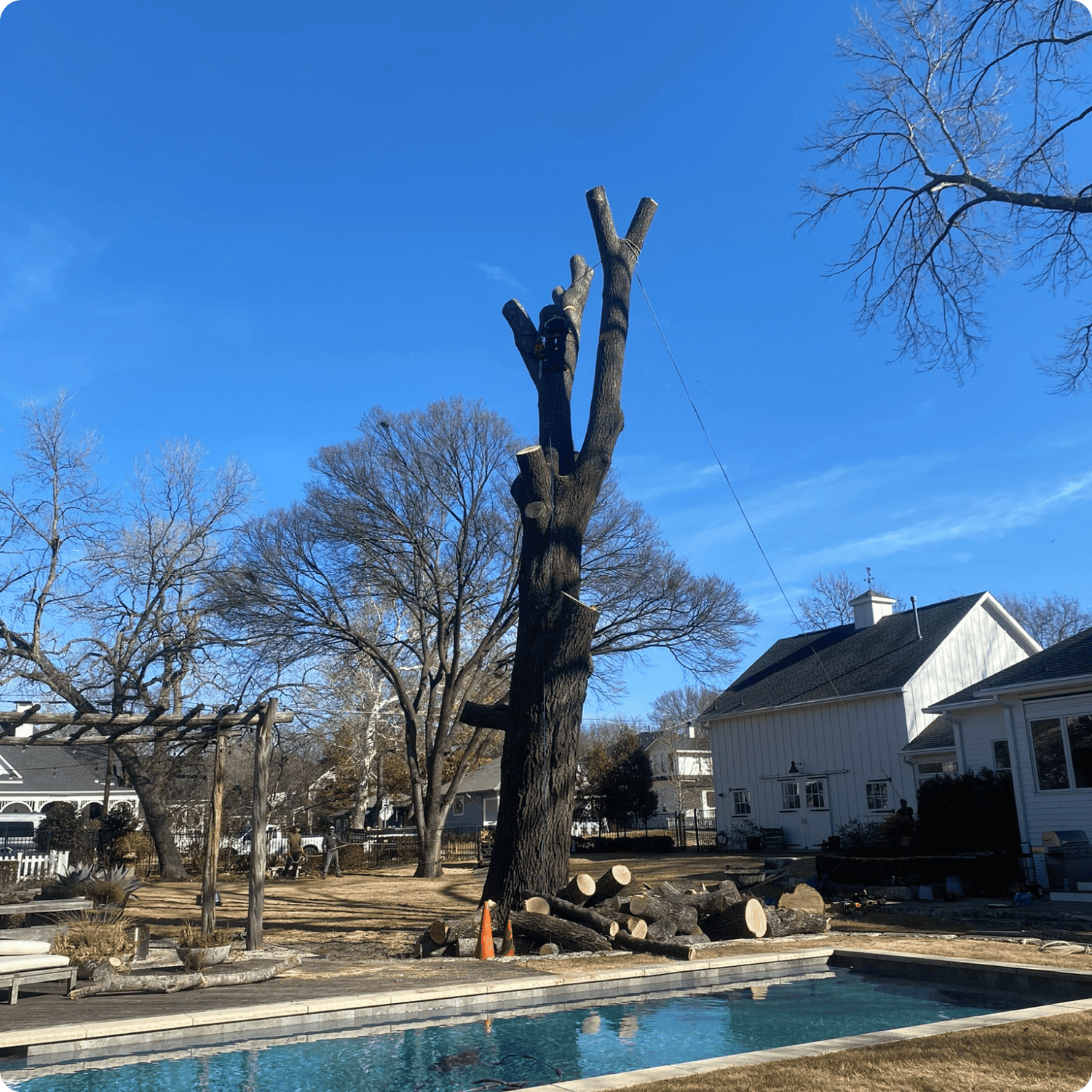 Red Oak Decay