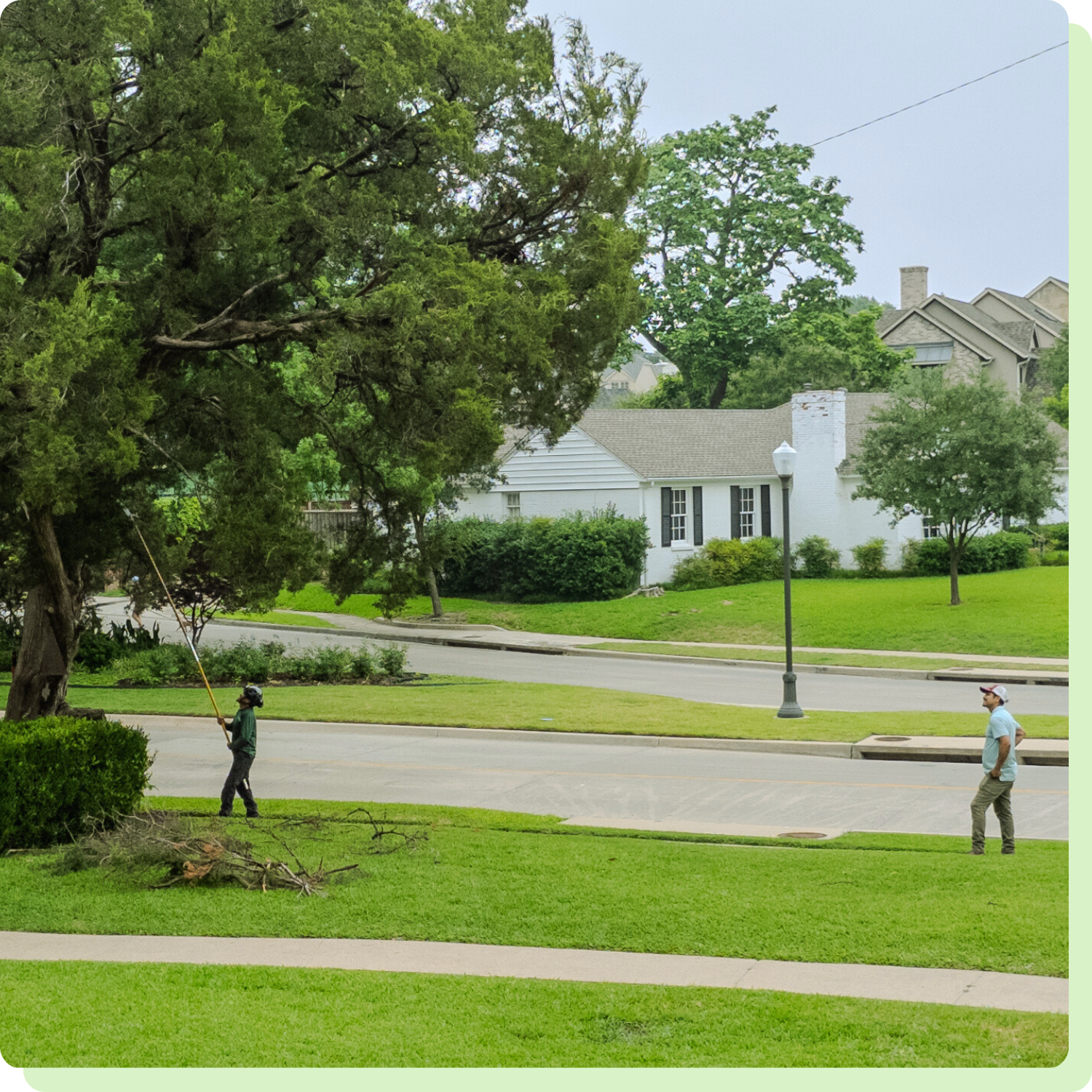 Premier Tree Care for University Park & Highland Park