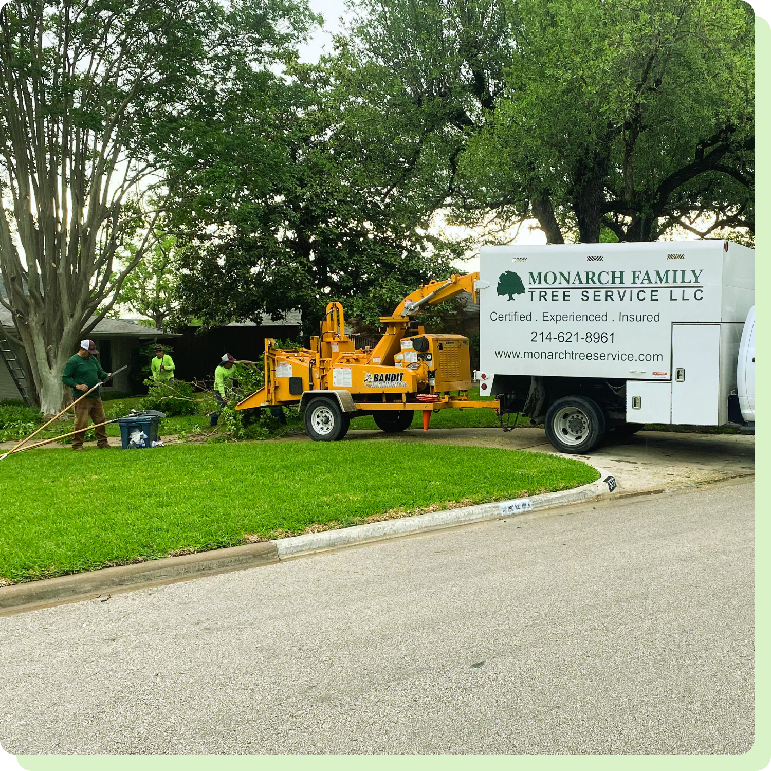 Professional Tree Care in Lake Highlands, TX