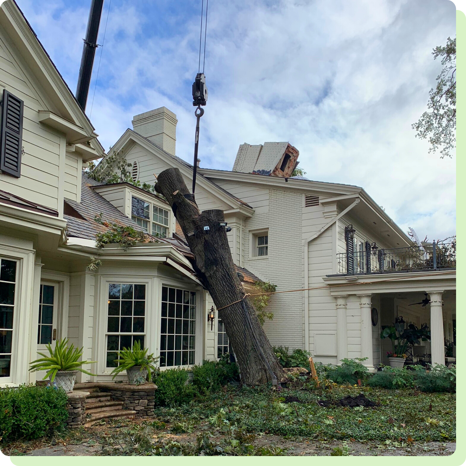 The Trusted Name in Tree Service-1