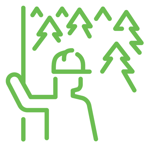 Tree Assessment
